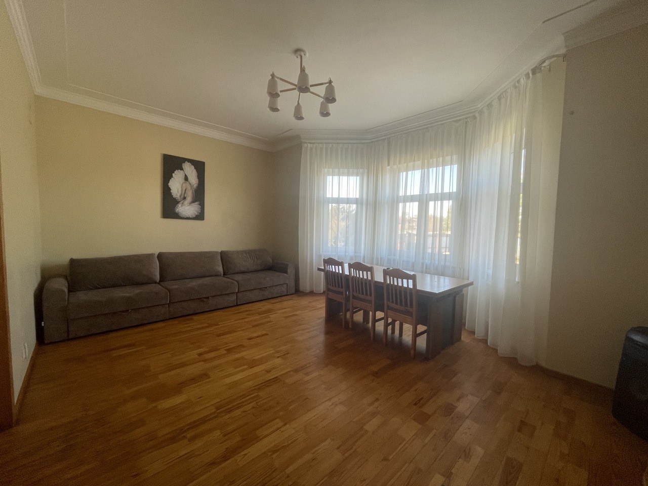 photo_2023-02-20_12-51-17